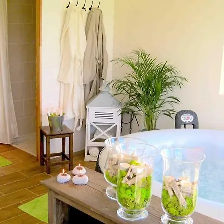 度假居 Grand Gite, Campagne, Piscine Et - Saumur