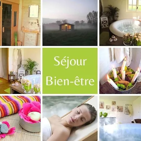 Grand Gite, Campagne, Piscine Et - Saumur 펜션 *