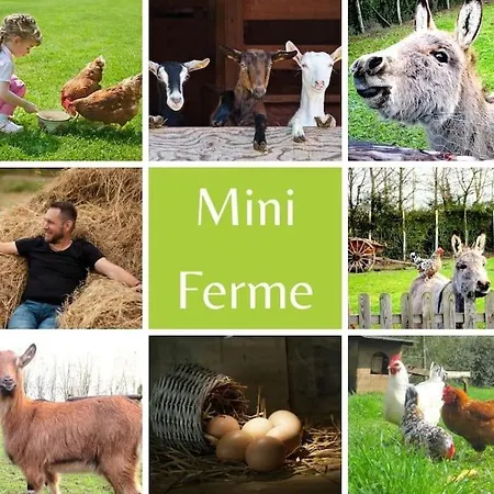 Grand Gite, Campagne, Piscine Et - Saumur 度假居 Blou