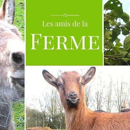 Grand Gite, Campagne, Piscine Et - Saumur 度假居 *