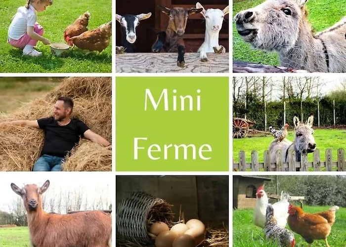 Grand Gite, Campagne, Piscine Et - Saumur Feriehus Blou