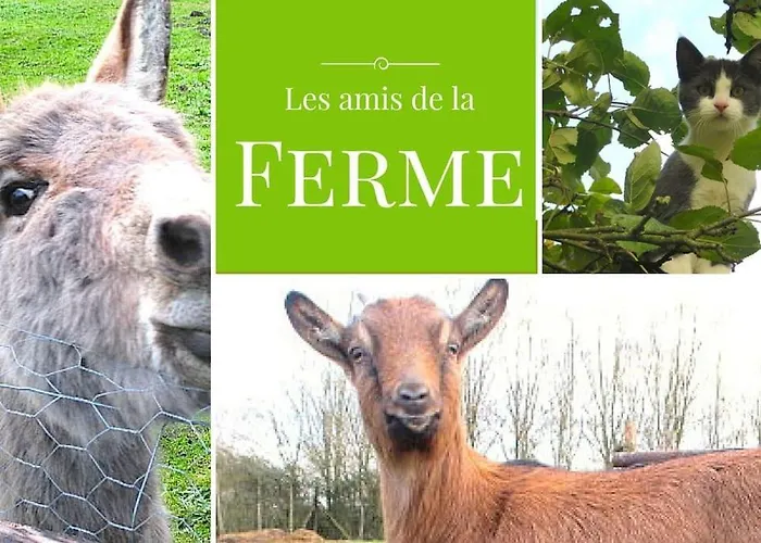 Grand Gite, Campagne, Piscine Et - Saumur Feriehus *